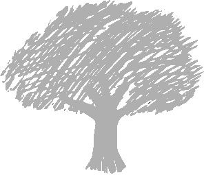 Fruitbomen fruitboomkwekerij Decofruit